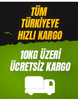 Başlık1